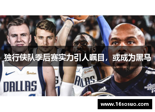 独行侠队季后赛实力引人瞩目，或成为黑马